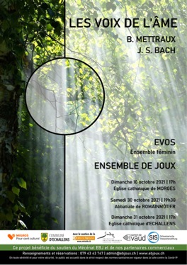 VOIXpetit